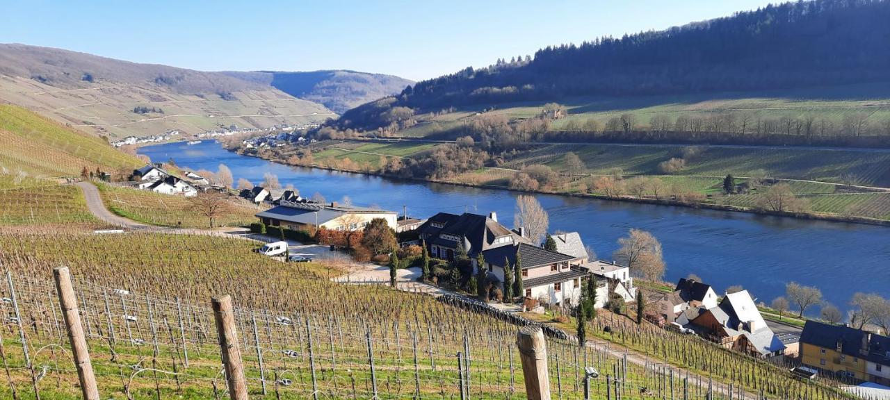 Apartments In Spay Bigone Zell-Merl Mosel Bagian luar foto